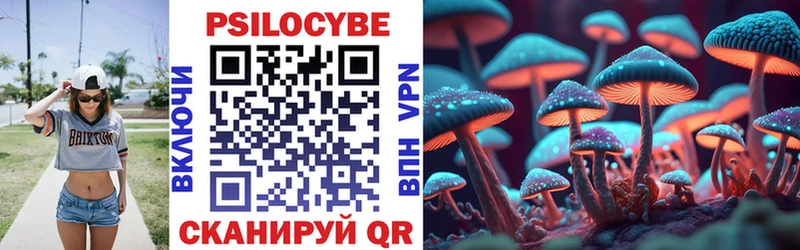 гидра зеркало  Кондопога  Псилоцибиновые грибы GOLDEN TEACHER 